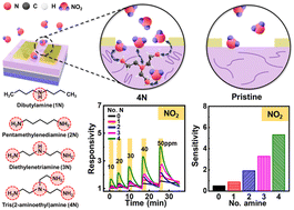 Graphical abstract: Additive engineering for high-performance polythiophene gas sensors incorporating functional amine additive with strong binding energy for NO2