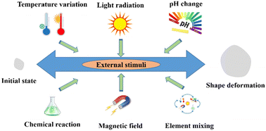 Graphical abstract: Smart hydrogels for shape deformation: mechanism, preparation, and properties