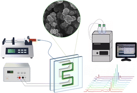 Graphical abstract: Combination of on-chip electromembrane extraction and solid phase microextraction for determination of non-steroidal anti-inflammatory drugs from biological fluids using poly(methacrylic acid–ethylene glycol dimethacrylate)–Cu/Cr layered double hydroxide composite as a sorbent