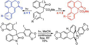 Graphical abstract: Photocyclisations of o-iodobenzyl-indanones and tetralones infer the intermediacy of triplet aryl cations
