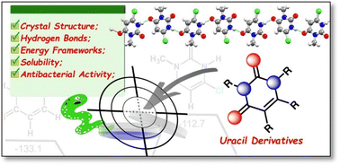 Graphical abstract: Exploring uracil derivatives: synthesis, crystal structure insights, and antibacterial activity