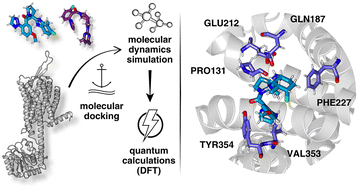 Graphical abstract: Unveiling the binding mechanism of orexin 2 receptor antagonists with computational chemistry