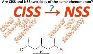 Graphical abstract: Nuclear hyperpolarization in electron transfer in chiral systems