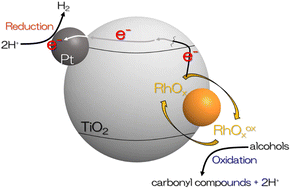 Graphical abstract: Preparation of RhOx/TiO2 with Pt cocatalyst effective for photocatalytic alcohol dehydrogenation under irradiation of visible light