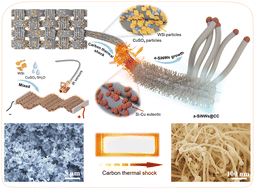 Graphical abstract: Conversion of photovoltaic waste silicon into amorphous silicon nanowire anodes