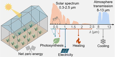 Graphical abstract: Broad-range spectral management towards next-generation net-zero energy greenhouses