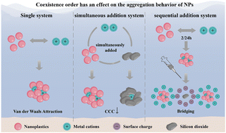 Graphical abstract: Critical role of coexistence order and interfacial forces in the aggregation of polystyrene nanoplastics induced by nano-SiO2 and metal cations