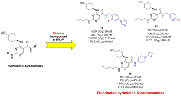 Graphical abstract: Fluorinated pyrimidine 5-carboxamides as potential tools for MERTK targeted fluorine-18-PET-radioligand development