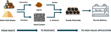 Graphical abstract: A sustainable anode for Na-ion batteries based on holm oak waste-derived hard carbon and lignin binder