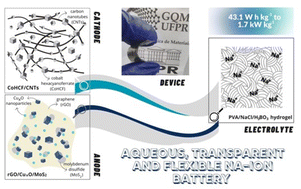 Graphical abstract: Eco-friendly, transparent, flexible and aqueous sodium-ion battery