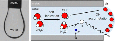 Graphical abstract: The electrostatic charge on exuded liquid drops