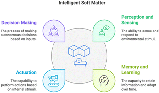 Graphical abstract: Intelligent soft matter: towards embodied intelligence