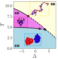 Graphical abstract: Equilibrium phases and phase transitions in multicritical magnetic polymers
