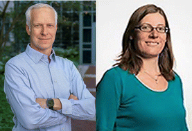 Graphical abstract: Celebrating 20 years of Soft Matter