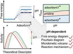 Graphical abstract: Decoding pH-dependent electrocatalysis through electric field models and microkinetic volcanoes