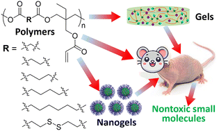 Graphical abstract: Biodegradable hyperbranched polyesters of trimethylolpropane with acrylate side chains enabling sustainable gel materials and nanomaterials for drug delivery applications