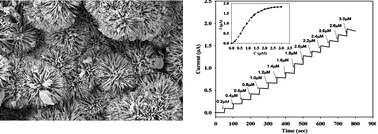 Graphical abstract: Zinc oxide nanonail based chemical sensor for hydrazine detection