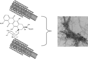 Graphical abstract: Multiwalled carbon nanotube–doxorubicin supramolecular complexes for cancer therapeutics