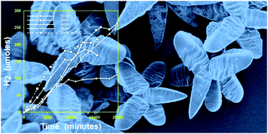 Graphical abstract: Morphological families of self-assembled porphyrin structures and their photosensitization of hydrogen generation