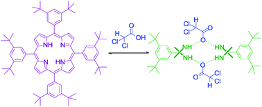 Graphical abstract: Noncovalent interactions in acid–porphyrin complexes