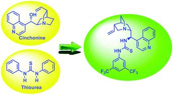 Graphical abstract: Cinchonine and thiourea