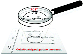 Graphical abstract: Voltammetric and spectroscopic characterization of early intermediates in the Co(ii)–polypyridyl-catalyzed reduction of water