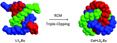 Graphical abstract: Self-assembly formation of mechanically interlocked [2]- and [3]catenanes using lanthanide ion [Eu(iii)] templation and ring closing metathesis reactions