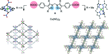 Graphical abstract: Using hinged ligands to target structurally flexible copper(ii) MOFs