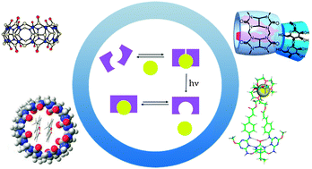 Graphical abstract: Template effects and supramolecular control of photoreactions in solution