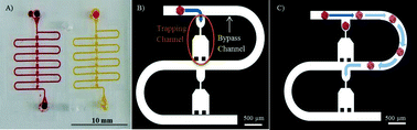 Graphical abstract: A microfluidic platform for chemoresistive testing of multicellular pleural cancer spheroids