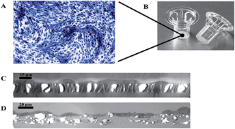 Graphical abstract: A TEM protocol for quality assurance of in vitro cellular barrier models and its application to the assessment of nanoparticle transport mechanisms across barriers