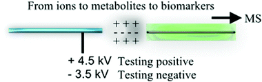 Graphical abstract: A short review of applications of liquid chromatography mass spectrometry based metabolomics techniques to the analysis of human urine