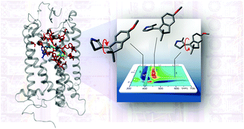 Graphical abstract: Learning from photobiology how to design molecular devices using a computer