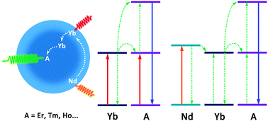 Graphical abstract: Energy transfer in lanthanide upconversion studies for extended optical applications