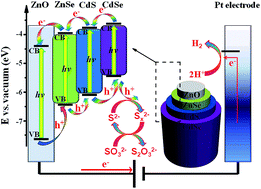 Graphical abstract: ZnSe/CdS/CdSe triple-sensitized ZnO nanowire arrays for multi-bandgap photoelectrochemical hydrogen generation