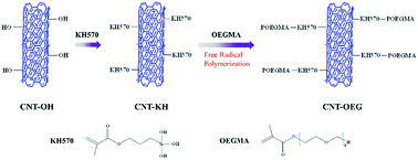 Graphical abstract: A free radical assisted strategy for preparing functionalized carbon nanotubes as a highly efficient nucleating agent for poly(l-lactide)