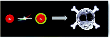 Graphical abstract: Combination of Ru(ii) complexes and light: new frontiers in cancer therapy