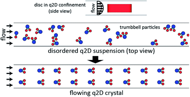 Graphical abstract: Self-organizing microfluidic crystals