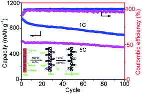 Graphical abstract: Sulfur encapsulated in porous hollow CNTs@CNFs for high-performance lithium–sulfur batteries