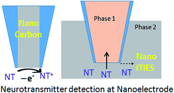 Graphical abstract: Electrochemical nanoprobes for the chemical detection of neurotransmitters