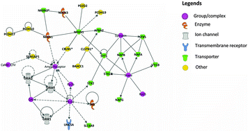 Graphical abstract: Embryonic exposure to 10 μg L−1 lead results in female-specific expression changes in genes associated with nervous system development and function and Alzheimer's disease in aged adult zebrafish brain