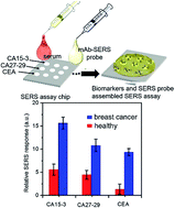 Graphical abstract: Multiplexed detection of serological cancer markers with plasmon-enhanced Raman spectro-immunoassay