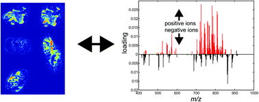 Graphical abstract: More from less: high-throughput dual polarity lipid imaging of biological tissues