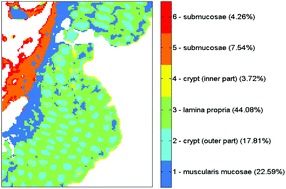 Graphical abstract: Digital de-waxing on FTIR images