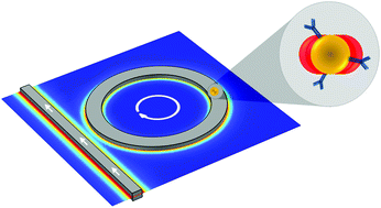 Graphical abstract: Hybrid plasmonic–photonic whispering gallery mode resonators for sensing: a critical review