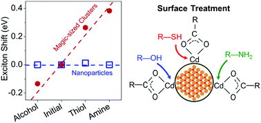 Graphical abstract: Surface chemistry of cadmium sulfide magic-sized clusters: a window into ligand-nanoparticle interactions