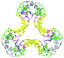 Graphical abstract: A quasi-cyclic RNA nano-scale molecular object constructed using kink turns