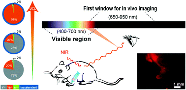 Graphical abstract: Revisiting the optimized doping ratio in core/shell nanostructured upconversion particles