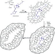 Graphical abstract: Preparation of a novel molecularly imprinted polymer by the sol–gel process for solid phase extraction of vitamin D3