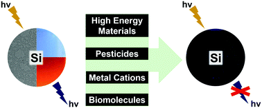 Graphical abstract: Silicon nanocrystals for the development of sensing platforms